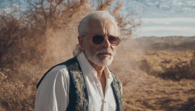 solo,shirt,1boy,closed mouth,white shirt,upper body,white hair,male focus,outdoors,sky,day,collared shirt,blurry,vest,tree,dress shirt,blurry background,facial hair,sunglasses,beard,realistic,mustache,bald,old,old man,photo background,looking at viewer,grey hair,cloud,blue sky,depth of field,scar,scar on face