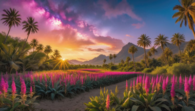 flower, outdoors, sky, cloud, tree, no humans, grass, plant, star (sky), nature, scenery, starry sky, sunset, mountain, palm tree