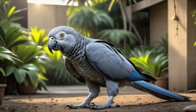 HQ,solo,looking at viewer,closed mouth,standing,full body,yellow eyes,outdoors,day,indoors,blurry,pokemon (creature),no humans,blurry background,bird,animal,feathers,plant,realistic,potted plant,animal focus,talons,beak,open mouth