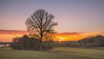 outdoors,sky,cloud,water,tree,no humans,sunlight,grass,nature,scenery,forest,sunset,rock,mountain,sun,horizon,bare tree,river,landscape,gradient sky,orange sky,cloudy sky,field