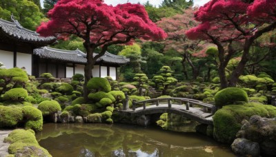 outdoors,day,water,tree,no humans,cherry blossoms,building,nature,scenery,forest,rock,architecture,bridge,east asian architecture,river,pond,real world location,sky,grass,plant,reflection,bush,moss,stone,stream