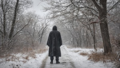 solo,long sleeves,1boy,standing,monochrome,male focus,outdoors,hood,from behind,tree,coat,nature,scenery,snow,forest,black coat,snowing,arms at sides,facing away,wide shot,winter,bare tree,ambiguous gender,black footwear,grass,1other,hood up,walking,robe