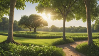 outdoors,sky,day,cloud,tree,blue sky,no humans,sunlight,grass,plant,nature,scenery,forest,light rays,sun,road,bush,path,shadow,shade,landscape