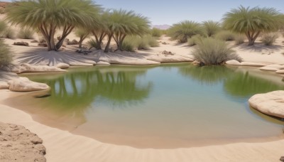 outdoors,sky,day,artist name,water,tree,blue sky,no humans,watermark,beach,grass,nature,scenery,reflection,rock,sand,palm tree,river,lake,plant,realistic,bush,shore,reflective water