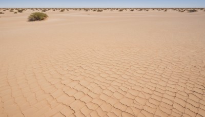 outdoors,sky,day,water,tree,blue sky,no humans,ocean,beach,grass,scenery,sand,horizon,road,bush,shore,path,desert,pavement,cloud,plant