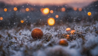 outdoors, blurry, no humans, depth of field, scenery, snow, bokeh