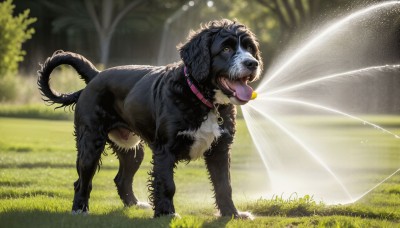 HQ,solo,open mouth,brown eyes,full body,outdoors,wings,day,tongue,tongue out,blurry,collar,tree,no humans,depth of field,blurry background,animal,sunlight,grass,bug,nature,dog,realistic,animal focus,standing,plant,light rays,animal collar