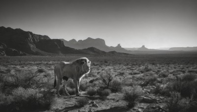 1girl,solo,short hair,1boy,standing,monochrome,greyscale,outdoors,sky,animal,grass,scenery,mountain,field,wide shot,no humans,nature,landscape,elephant