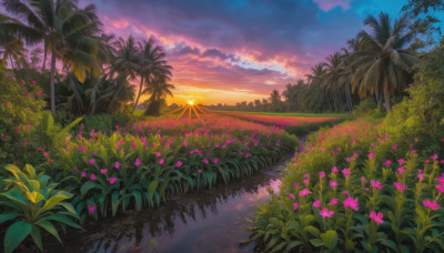 flower, outdoors, sky, cloud, water, tree, no humans, cloudy sky, grass, plant, nature, scenery, reflection, sunset, palm tree