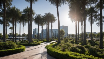 outdoors,sky,day,cloud,water,tree,blue sky,no humans,shadow,sunlight,grass,plant,building,nature,scenery,forest,city,palm tree,sun,road,bush,cityscape,ruins,bridge,river,skyscraper