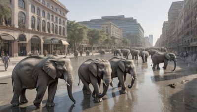 outdoors,multiple boys,sky,day,water,tree,no humans,animal,ground vehicle,building,scenery,motor vehicle,reflection,6+boys,city,road,riding,horse,street,puddle,horseback riding,people,multiple girls,sunlight,walking,fantasy,crowd,crosswalk,cow,vanishing point