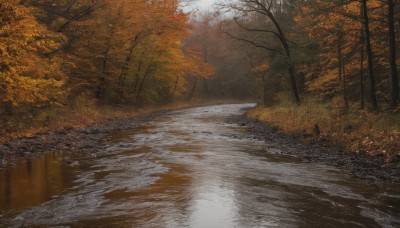 outdoors,day,water,tree,dutch angle,no humans,leaf,sunlight,nature,scenery,forest,reflection,road,autumn leaves,bare tree,autumn,fog,path,signature,river