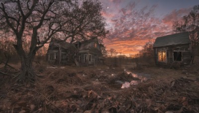 outdoors,sky,cloud,tree,no humans,window,moon,cloudy sky,grass,building,nature,scenery,forest,sunset,fence,ruins,house,bare tree,twilight,broken window,1girl,solo,dress,door,landscape,wood