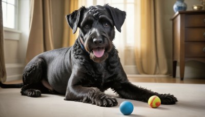 HQ,brown eyes,day,tongue,indoors,tongue out,blurry,no humans,window,animal,table,curtains,ball,dog,realistic,animal focus,playing,solo,looking at viewer,open mouth,full body,collar,chair,tennis ball