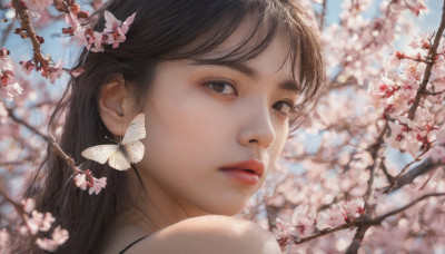 1girl, solo, long hair, looking at viewer, brown hair, bare shoulders, brown eyes, jewelry, flower, earrings, outdoors, parted lips, sky, day, looking back, mole, blurry, lips, mole under eye, depth of field, bug, cherry blossoms, butterfly, portrait, realistic, nose, branch