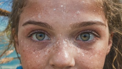 1girl,solo,looking at viewer,brown hair,brown eyes,closed mouth,braid,mole,blurry,lips,eyelashes,mole under eye,portrait,close-up,freckles,realistic,eye focus,blonde hair,green eyes,yellow eyes,sky,day,blue sky,water drop,branch