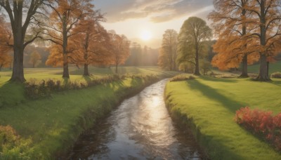 outdoors,sky,day,cloud,water,tree,blue sky,no humans,leaf,sunlight,cloudy sky,grass,nature,scenery,forest,reflection,sunset,mountain,sun,autumn leaves,maple leaf,river,autumn,landscape,lake,flower,light rays,road,bush,field,path