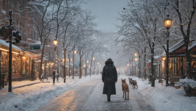 outdoors, multiple boys, sky, tree, coat, night, animal, ground vehicle, building, scenery, motor vehicle, snow, walking, dog, snowing, city, sign, winter clothes, car, road, winter, lamppost, bare tree, street