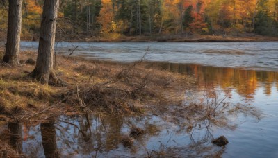 outdoors,water,tree,no humans,nature,scenery,forest,reflection,road,autumn leaves,bare tree,autumn,leaf,traditional media,grass,rock,river,lake,reflective water