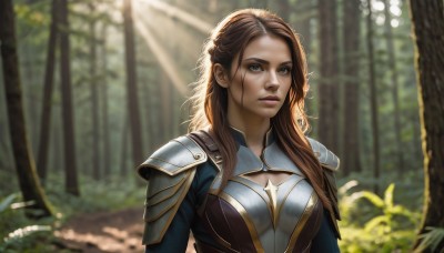 1girl,solo,long hair,breasts,looking at viewer,large breasts,brown hair,cleavage,brown eyes,medium breasts,closed mouth,upper body,outdoors,day,armor,blurry,tree,lips,depth of field,blurry background,scar,cleavage cutout,sunlight,shoulder armor,nature,forest,pauldrons,realistic,nose,plant,forehead