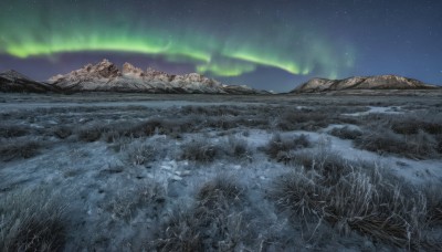 outdoors,sky,tree,no humans,night,grass,star (sky),nature,night sky,scenery,snow,starry sky,rock,mountain,landscape,aurora,milky way