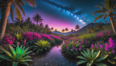 flower, outdoors, sky, cloud, water, tree, no humans, night, grass, plant, star (sky), nature, night sky, scenery, starry sky, sunset, mountain, palm tree, purple sky