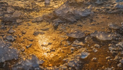 outdoors,day,blurry,tree,no humans,depth of field,leaf,nature,scenery,rock,autumn leaves,autumn,stone,water,sand