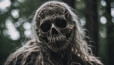 1girl,solo,long hair,white hair,blurry,mask,depth of field,blurry background,wavy hair,helmet,portrait,facing viewer,1other,covered face,upper body,no humans,veil,curly hair,skull,bokeh,horror (theme)