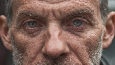 solo,looking at viewer,blue eyes,1boy,closed mouth,grey hair,male focus,blurry,grey eyes,depth of field,facial hair,portrait,beard,close-up,realistic,mustache,manly,old,old man,wrinkled skin,signature,blurry background