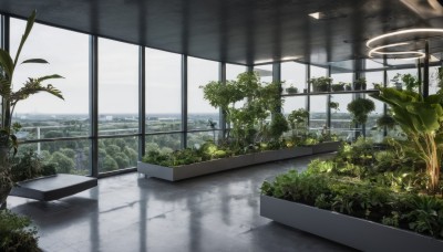 outdoors,sky,day,cloud,indoors,water,tree,no humans,window,shadow,sunlight,plant,building,scenery,reflection,city,potted plant,bush,cityscape,tiles,landscape