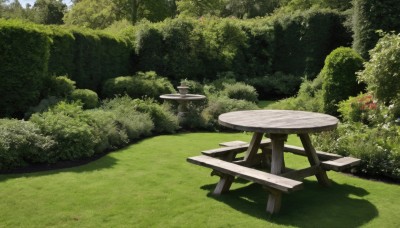 outdoors,sky,day,tree,no humans,shadow,chair,table,sunlight,grass,plant,nature,scenery,forest,bench,bush,path,green theme,garden