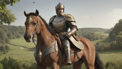 1girl,solo,looking at viewer,short hair,brown eyes,closed mouth,weapon,boots,outdoors,sky,day,armor,tree,lips,animal,helmet,grass,shoulder armor,gauntlets,nature,scenery,forest,pauldrons,breastplate,realistic,armored boots,riding,greaves,faulds,horse,knight,full armor,horseback riding,plate armor,reins,saddle,brown hair,gloves,holding,bird,serious,chainmail