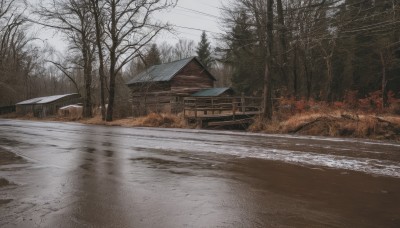 outdoors,sky,day,cloud,tree,no humans,umbrella,grass,building,nature,scenery,forest,fence,road,house,east asian architecture,power lines,bare tree,street,utility pole,water,snow,realistic,winter,landscape