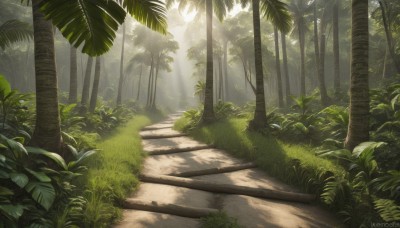 outdoors,day,artist name,tree,no humans,shadow,watermark,sunlight,grass,plant,nature,scenery,forest,light rays,palm tree,road,bush,shade,dappled sunlight,path,tree shade,leaf,web address