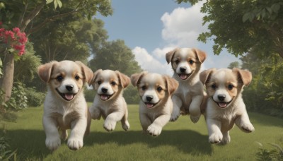 open mouth,blue eyes,flower,outdoors,sky,day,tongue,cloud,tongue out,tree,blue sky,no humans,animal,cloudy sky,grass,plant,red flower,nature,scenery,running,dog,realistic,bush,animal focus,looking at viewer,shadow,fangs