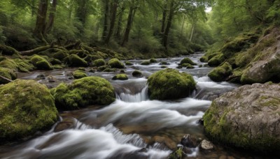 outdoors,day,water,tree,no humans,sunlight,nature,scenery,forest,rock,river,waterfall,landscape,stream,moss