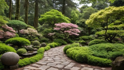 outdoors,day,tree,no humans,sunlight,grass,plant,cherry blossoms,nature,scenery,forest,rock,road,bush,path,moss,stone