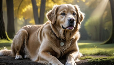 HQ,solo,open mouth,brown eyes,jewelry,outdoors,lying,day,tongue,artist name,signature,tongue out,necklace,blurry,tree,no humans,blurry background,animal,sunlight,grass,nature,forest,dog,light rays,realistic,animal focus,looking at viewer,full body,teeth,collar,fangs,on stomach,pendant