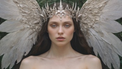 1girl,solo,long hair,looking at viewer,blue eyes,brown hair,bare shoulders,collarbone,nude,parted lips,wings,lips,expressionless,tiara,feathers,head wings,portrait,feathered wings,freckles,realistic,headpiece,upper body