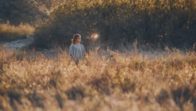 1girl,solo,long hair,brown hair,shirt,hat,standing,white shirt,upper body,short sleeves,outdoors,blurry,tree,depth of field,grass,plant,t-shirt,nature,scenery,blurry foreground,wide shot,sparkler,short hair,black hair,1boy,ponytail,male focus,from behind,night,blue shirt,night sky,wheat