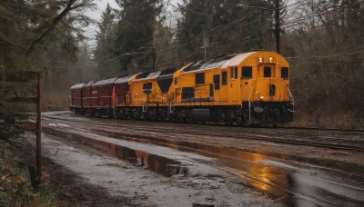 outdoors,day,tree,dutch angle,no humans,grass,ground vehicle,nature,scenery,motor vehicle,forest,reflection,sign,car,road,vehicle focus,train,railroad tracks,truck,water,realistic,bare tree,puddle