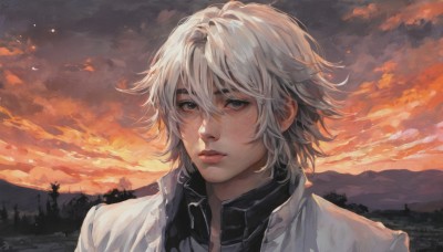 solo,looking at viewer,short hair,bangs,shirt,1boy,hair between eyes,white shirt,upper body,white hair,grey hair,male focus,outdoors,parted lips,sky,collared shirt,cloud,tree,lips,grey eyes,white jacket,cloudy sky,portrait,nature,sunset,mountain,realistic,nose,blue eyes,closed mouth,green eyes,jacket,black shirt,freckles