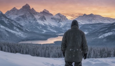 solo,black hair,gloves,long sleeves,1boy,standing,jacket,male focus,outdoors,sky,black gloves,pants,cloud,hood,from behind,tree,coat,nature,scenery,snow,1other,forest,sunset,mountain,winter clothes,facing away,winter,mountainous horizon,ambiguous gender,lake,orange sky,black jacket,hood up,landscape