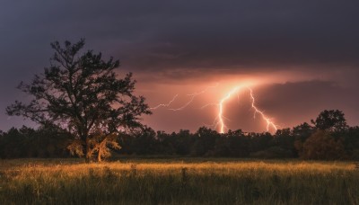 outdoors,sky,cloud,tree,no humans,cloudy sky,grass,nature,scenery,forest,sunset,rock,electricity,lightning,landscape