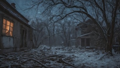 outdoors,sky,cloud,tree,no humans,window,night,moon,building,nature,night sky,scenery,snow,forest,door,ruins,house,winter,bare tree,broken window,cloudy sky,road,dark