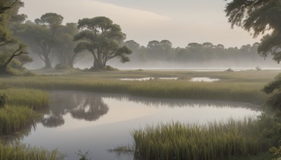 outdoors,sky,day,cloud,water,tree,no humans,cloudy sky,grass,nature,scenery,forest,reflection,landscape,lake,reflective water,artist name,sunlight,river