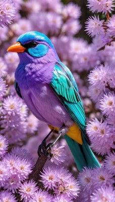 solo,standing,flower,outdoors,blurry,black eyes,pokemon (creature),no humans,depth of field,blurry background,bird,animal,white flower,pink flower,flying,realistic,purple flower,animal focus,talons,closed mouth,full body,artist name,watermark,cherry blossoms,branch,wisteria