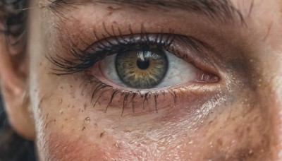 solo,looking at viewer,1boy,green eyes,yellow eyes,male focus,blurry,eyelashes,close-up,freckles,reflection,realistic,eye focus,black hair,depth of field