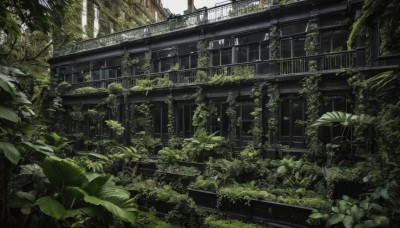 outdoors,day,tree,no humans,window,leaf,sunlight,plant,building,nature,scenery,stairs,railing,ruins,vines,moss,overgrown,signature,green theme,ivy