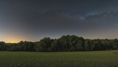 outdoors,sky,cloud,tree,no humans,night,grass,star (sky),nature,night sky,scenery,forest,starry sky,sunset,field,gradient sky,landscape